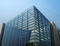 久久久精品国产亚洲成人满18免费网站