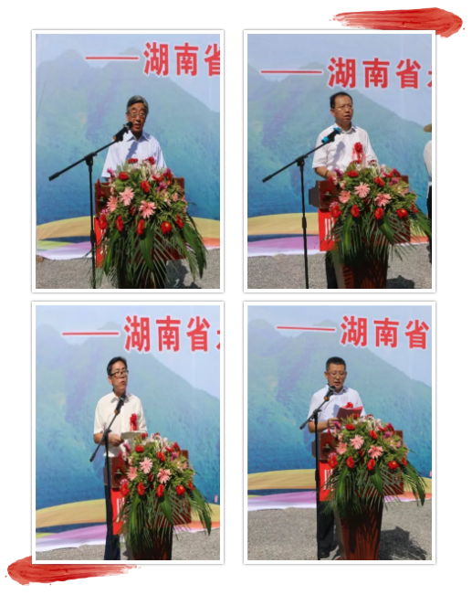 久久久精品国产亚洲成人满18免费网站