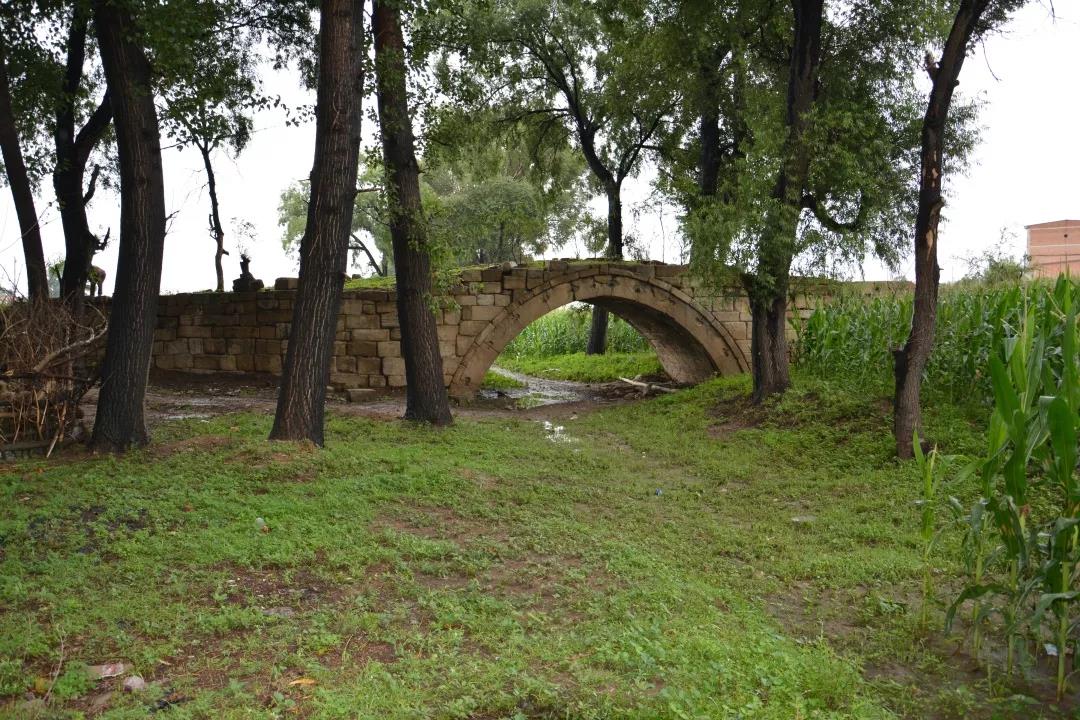 久久久精品国产亚洲成人满18免费网站