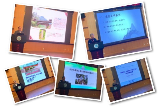 久久久精品国产亚洲成人满18免费网站