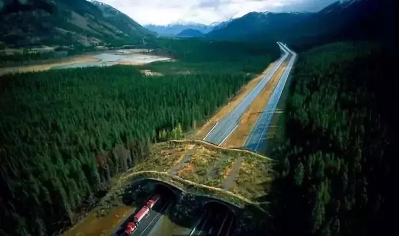 久久久精品国产亚洲成人满18免费网站