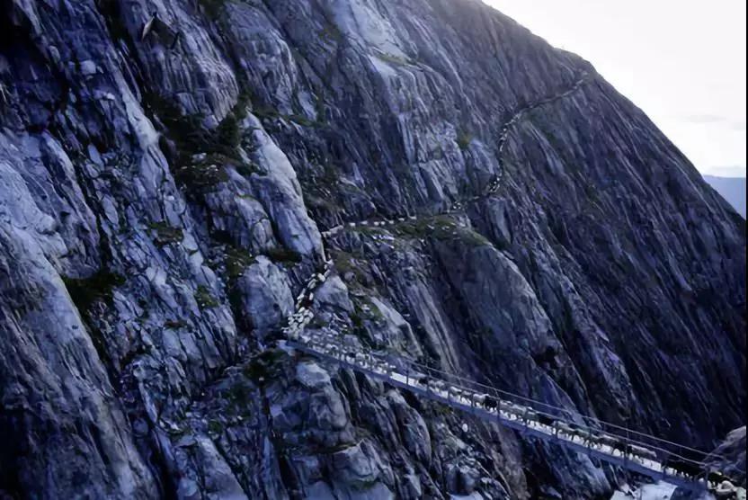 久久久精品国产亚洲成人满18免费网站