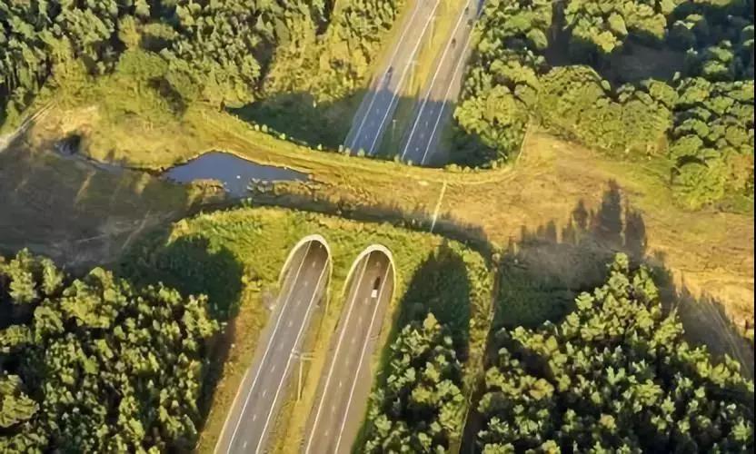 久久久精品国产亚洲成人满18免费网站