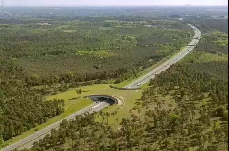 久久久精品国产亚洲成人满18免费网站