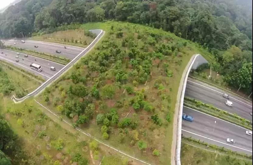 久久久精品国产亚洲成人满18免费网站