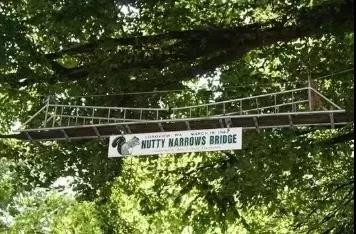 久久久精品国产亚洲成人满18免费网站