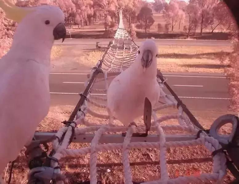 久久久精品国产亚洲成人满18免费网站