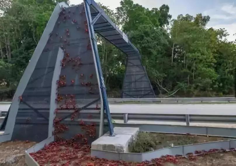 久久久精品国产亚洲成人满18免费网站