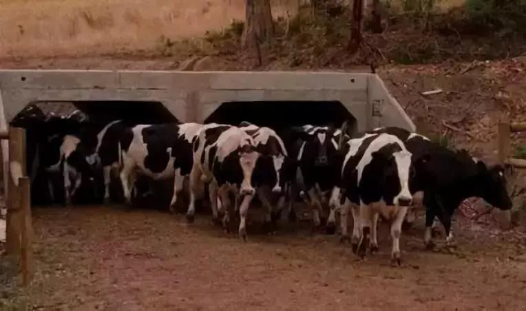 久久久精品国产亚洲成人满18免费网站