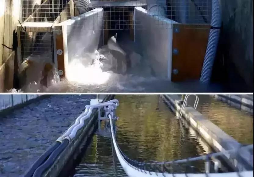 久久久精品国产亚洲成人满18免费网站