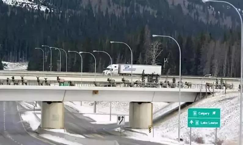 久久久精品国产亚洲成人满18免费网站