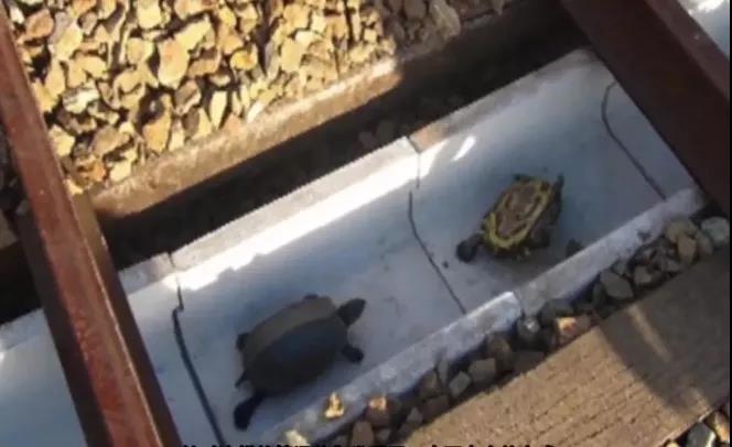 久久久精品国产亚洲成人满18免费网站