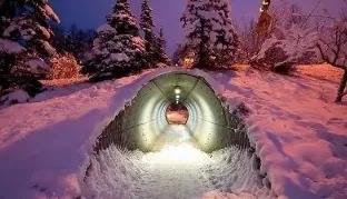 久久久精品国产亚洲成人满18免费网站