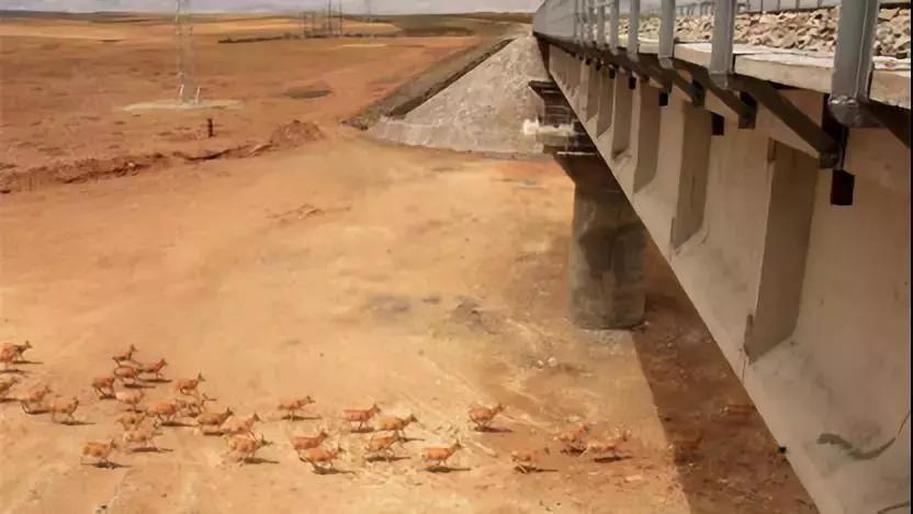 久久久精品国产亚洲成人满18免费网站