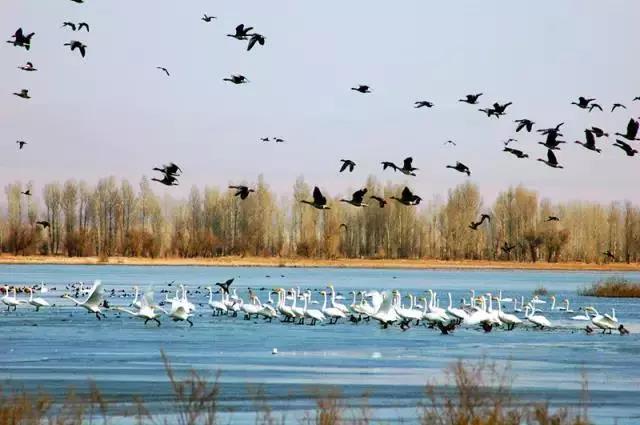 久久久精品国产亚洲成人满18免费网站