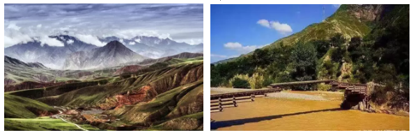 久久久精品国产亚洲成人满18免费网站