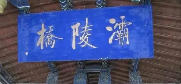 久久久精品国产亚洲成人满18免费网站