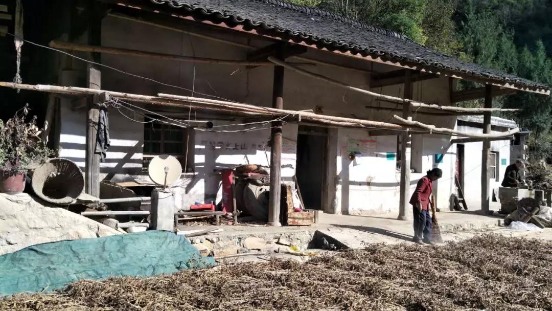 久久久精品国产亚洲成人满18免费网站