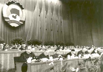 久久久精品国产亚洲成人满18免费网站