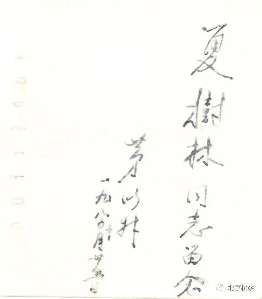 久久久精品国产亚洲成人满18免费网站