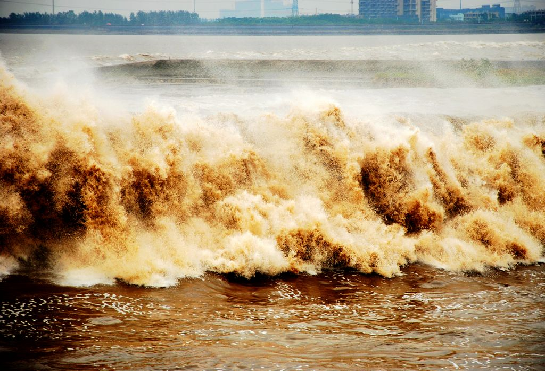 久久久精品国产亚洲成人满18免费网站