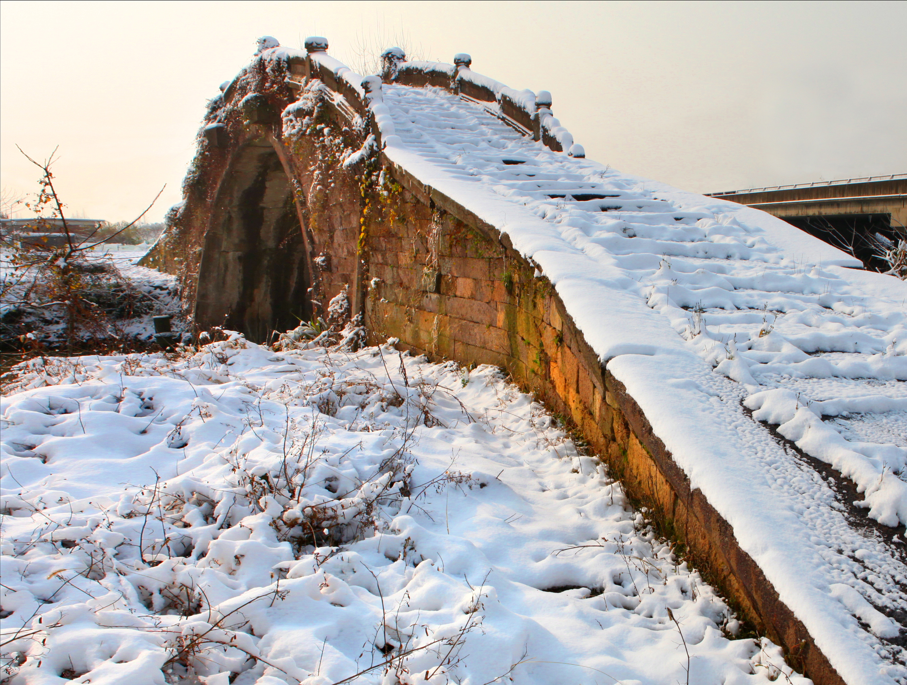 久久久精品国产亚洲成人满18免费网站