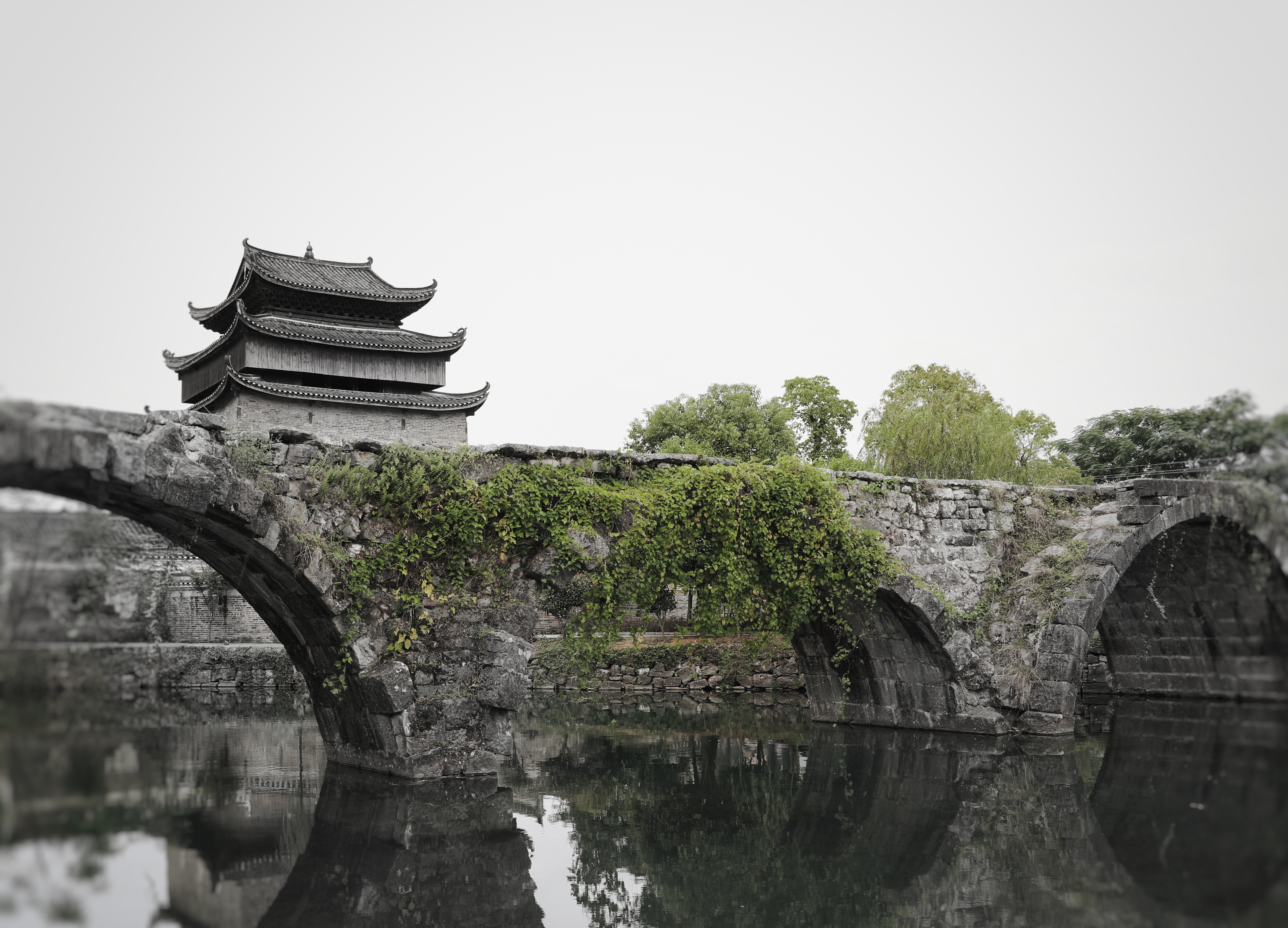 久久久精品国产亚洲成人满18免费网站