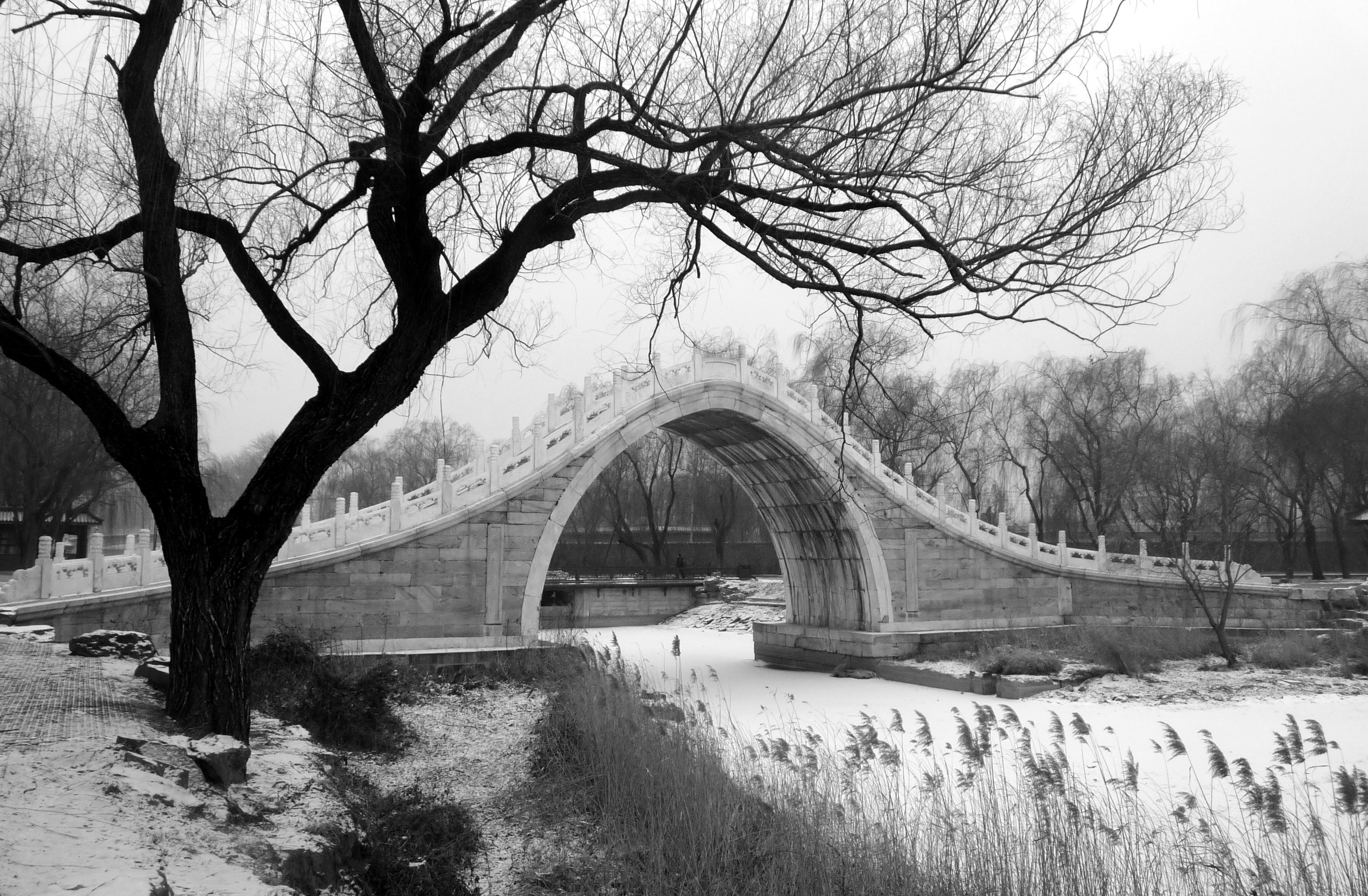 久久久精品国产亚洲成人满18免费网站