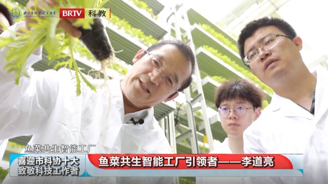 久久久精品国产亚洲成人满18免费网站