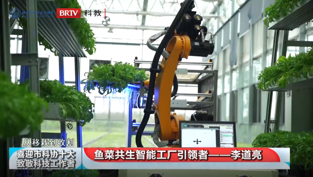 久久久精品国产亚洲成人满18免费网站