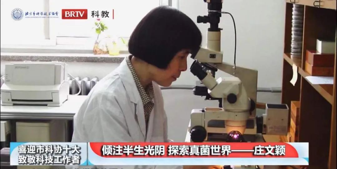 久久久精品国产亚洲成人满18免费网站