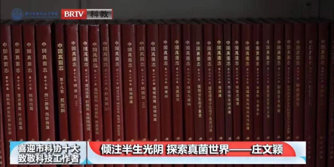 久久久精品国产亚洲成人满18免费网站