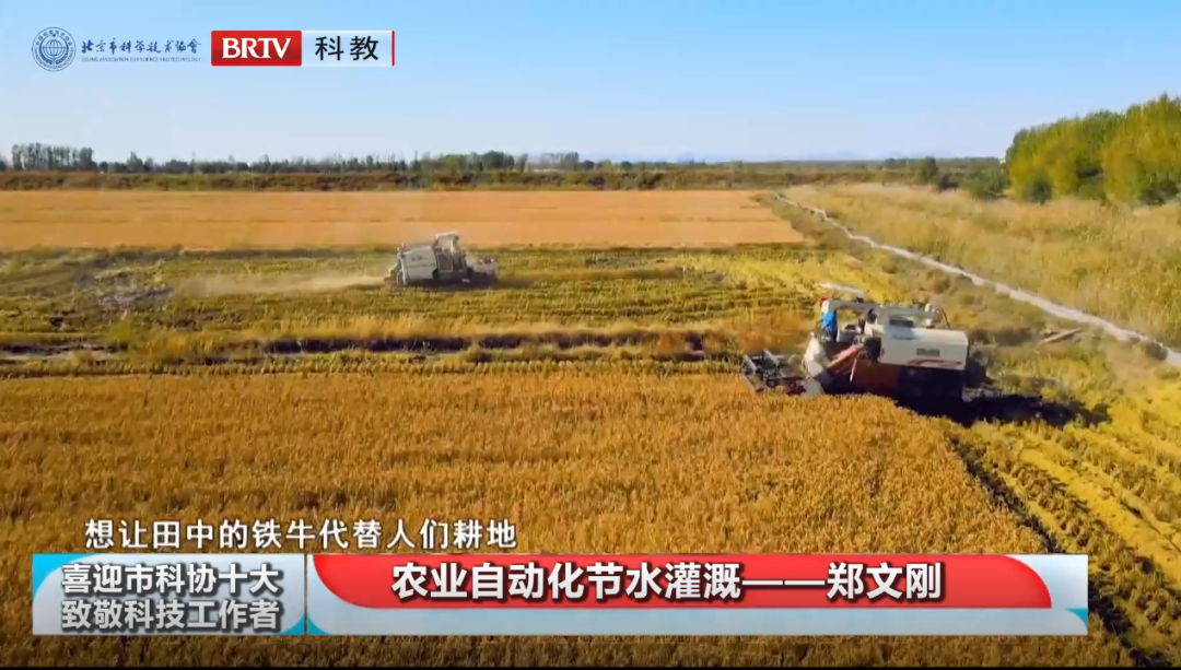 久久久精品国产亚洲成人满18免费网站