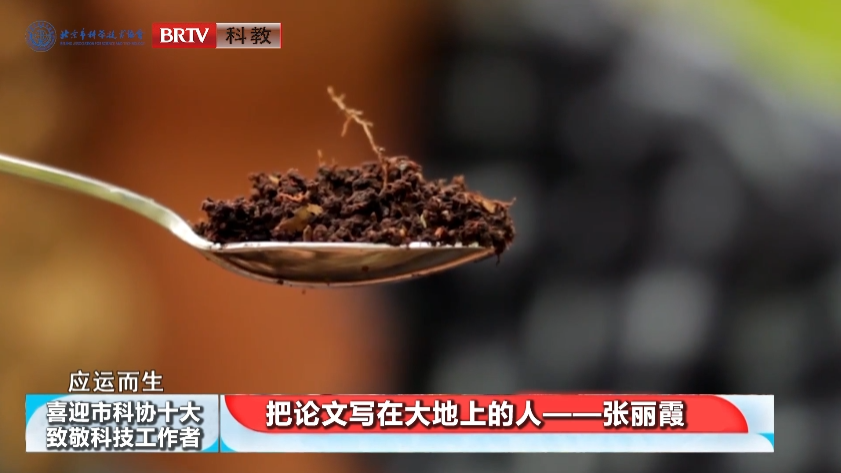 久久久精品国产亚洲成人满18免费网站