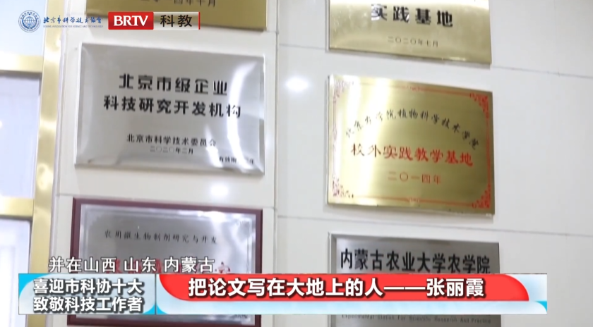 久久久精品国产亚洲成人满18免费网站