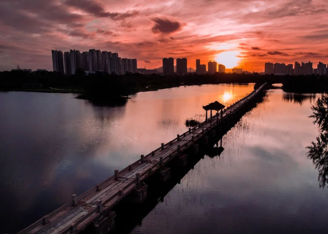 久久久精品国产亚洲成人满18免费网站