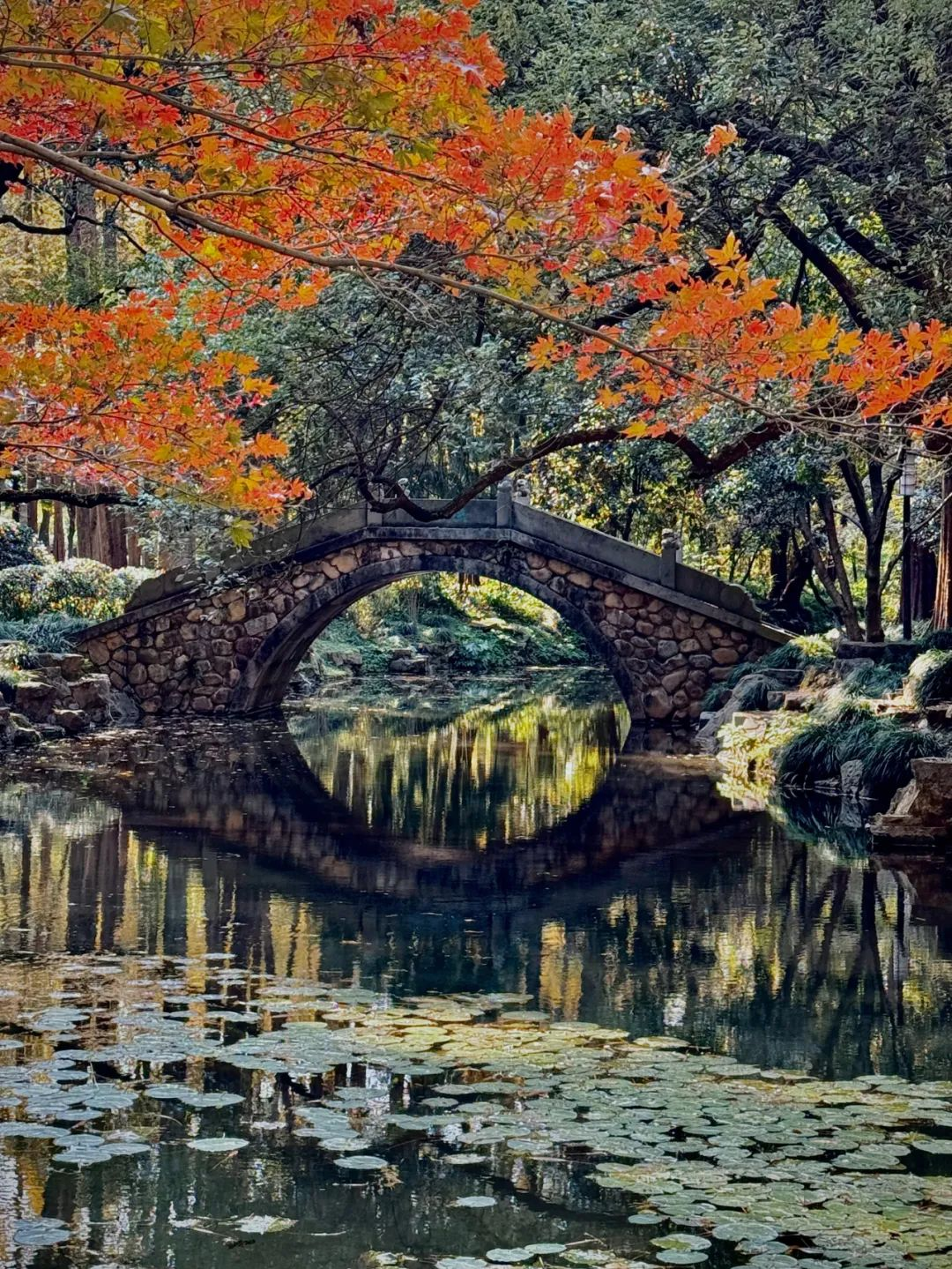 久久久精品国产亚洲成人满18免费网站