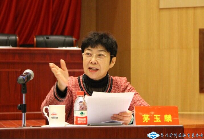 久久久精品国产亚洲成人满18免费网站