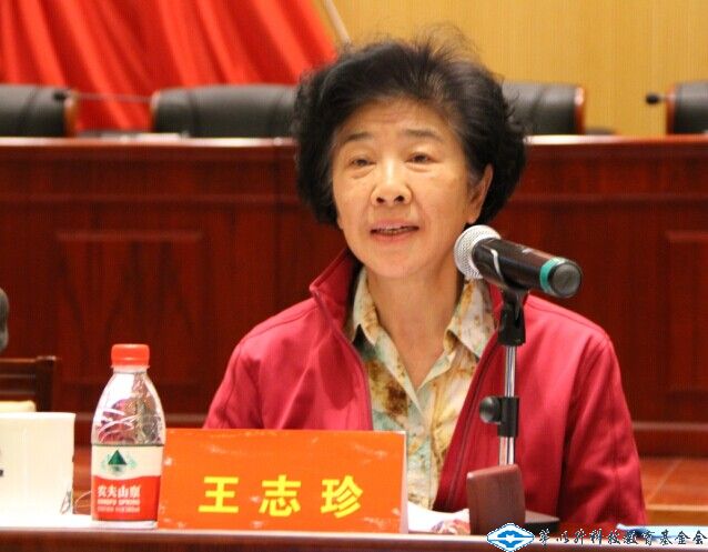 久久久精品国产亚洲成人满18免费网站