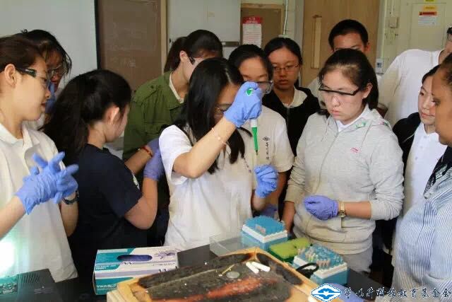 久久久精品国产亚洲成人满18免费网站