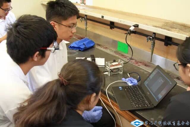 久久久精品国产亚洲成人满18免费网站