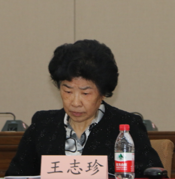 久久久精品国产亚洲成人满18免费网站