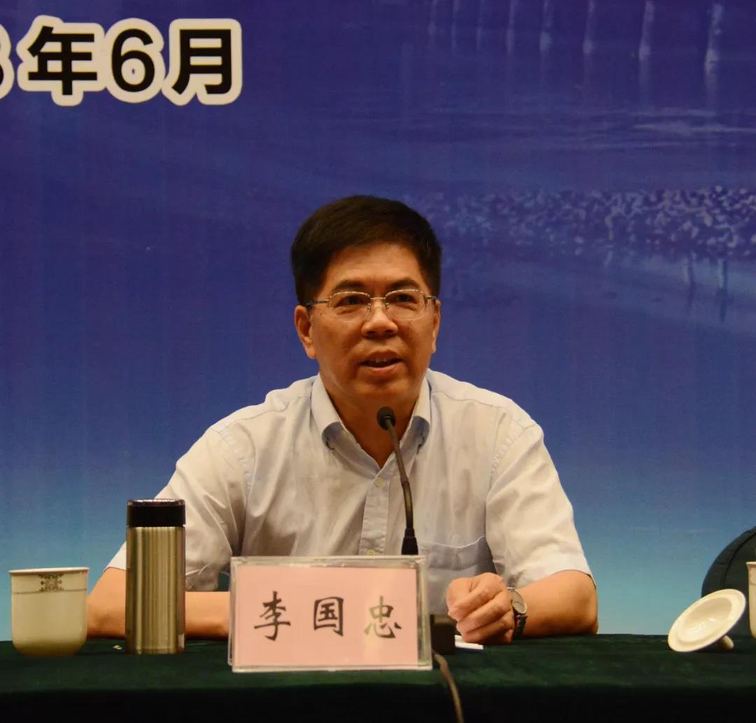 久久久精品国产亚洲成人满18免费网站