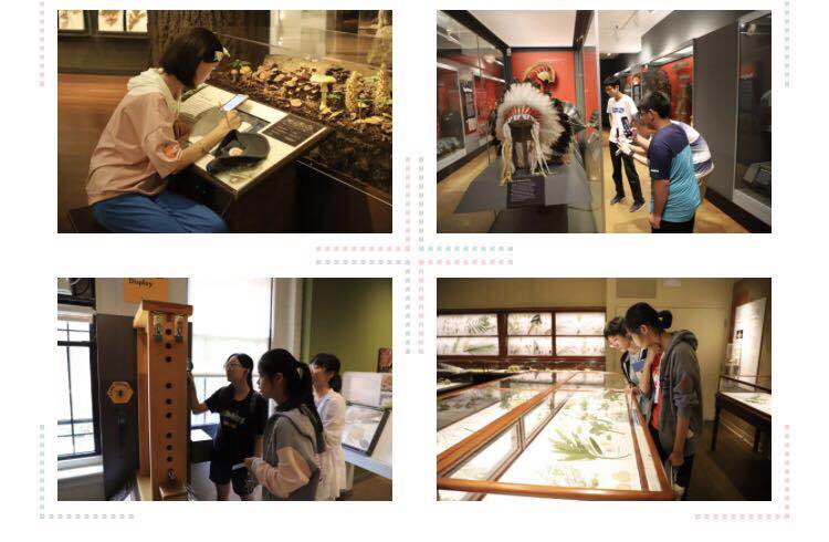 久久久精品国产亚洲成人满18免费网站