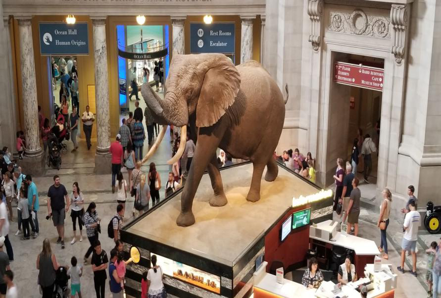 久久久精品国产亚洲成人满18免费网站