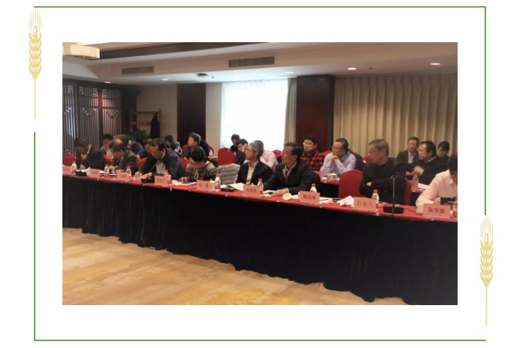 久久久精品国产亚洲成人满18免费网站