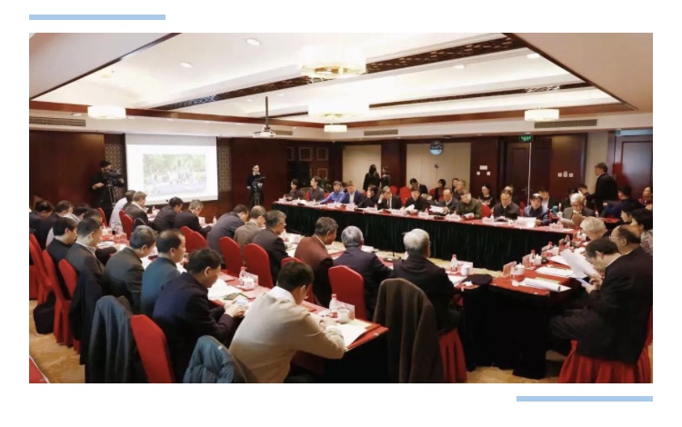 久久久精品国产亚洲成人满18免费网站