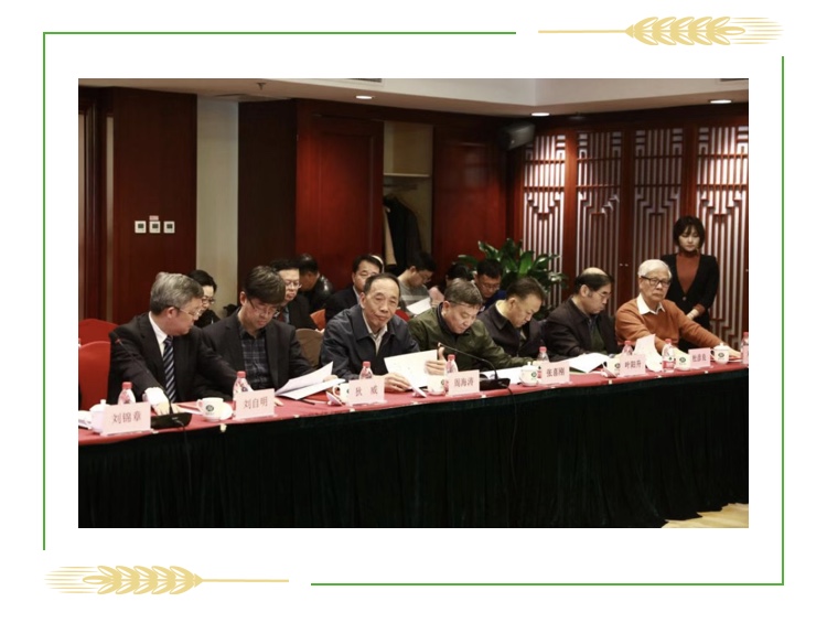 久久久精品国产亚洲成人满18免费网站